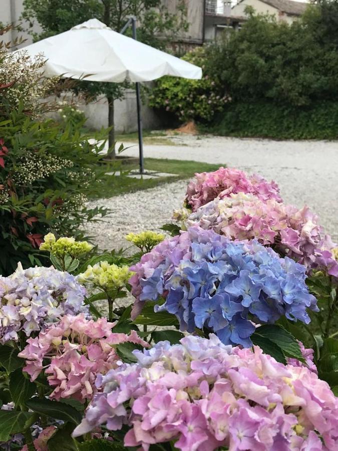 Gina & Jeto Villa Farra di Soligo Eksteriør bilde